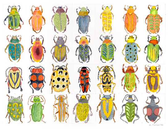 Beetles